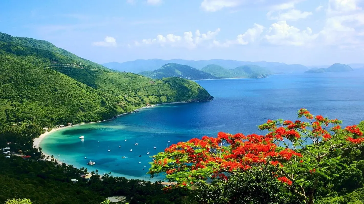 高精度高标准全自动